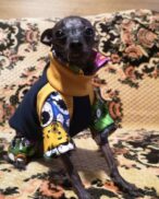 {{brizy_dc_image_alt imageSrc=